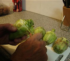 Step 3: The artichokes are prepared by taking off the outside leaves which are very fibrous. Peel …